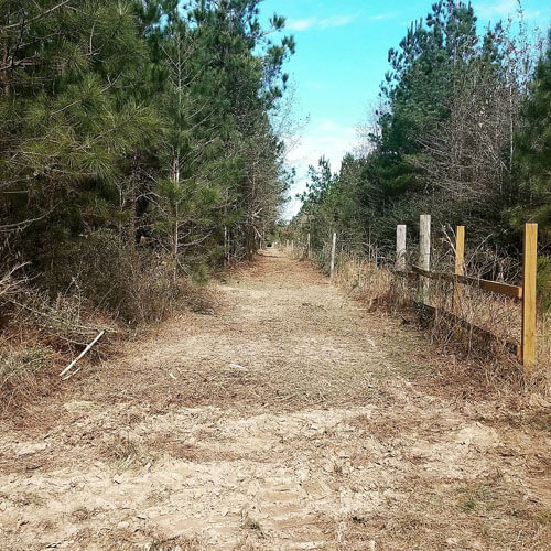 Cleared fence row after brush mulching