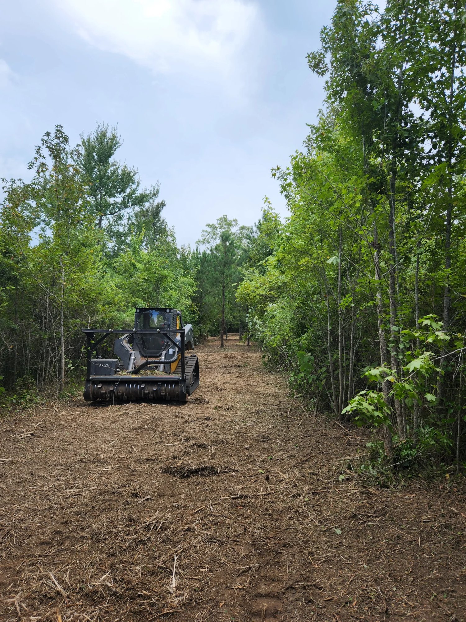 Trail cutting through wooded property